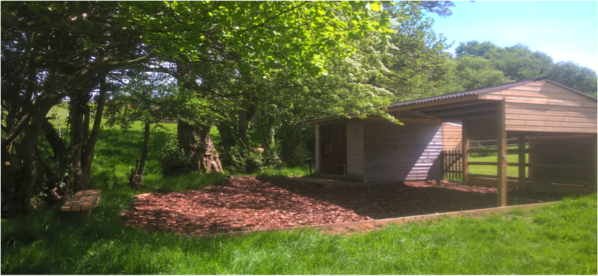 Equine assisted therapy facility